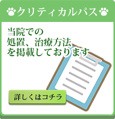 豊富なデザインのイメージ