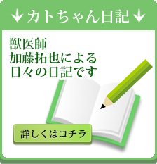 ビジネス用に最適化のイメージ